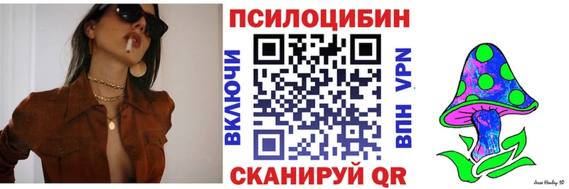Галлюциногенные грибы Psilocybine cubensis Избербаш